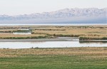 MONGOLIA 69 (EL LAGO KHAR NUUR) TIENE UNA ENTRADA DE AGUA, EL RIO CHONO KHARAIKH, QUE CREA UN DELTA FLUVIAL AL ENTRAR EN EL LAGO
