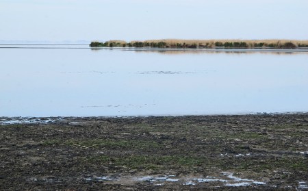 MONGOLIA 70 (EL LAGO KHAR NUUR) EN ALGUNAS PARTES ES DIFICIL LLEGAR AL AGUA, PORQUE TIENE ZONAS PANTANOSAS