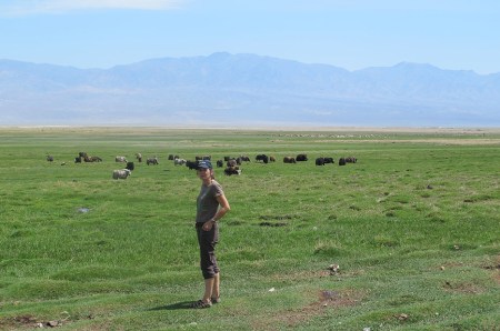 MONGOLIA 76 (POR LA ESTEPA) UNA MANADA DE JAKS