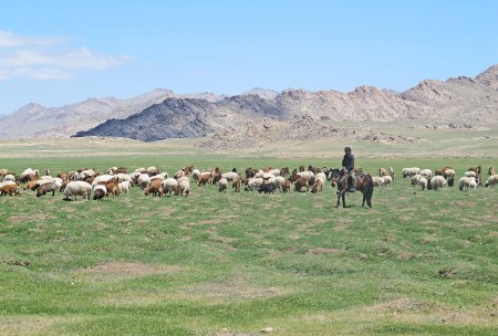 MONGOLIA 138 (HACIA ARVAYHEER) ENCUENTRO CON UN JOVEN PASTOR