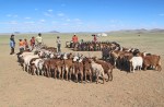MONGOLIA 167 (GOBI-HACIA GUCHIN US) ENCUENTRO CON UNOS NOMADAS