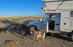 MONGOLIA 185 (GOBI- GUCHIN US) HEMOS SIDO LITERALMENTE INVADIDOS POR…