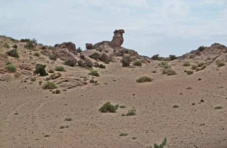 MONGOLIA 227 (GOBI- DE BOGD SUM A BULGAN) A VECES LAS PISTA SON MUY DIFICLES DE VER