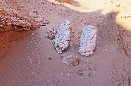 MONGOLIA 255 (BAYANZAG) PUEDE QUE SEAN HUEVOS DE DINOSAURIO