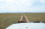 MONGOLIA 267 (HACIA UVURKHUSHUUT) EN RUTA AL NORTE