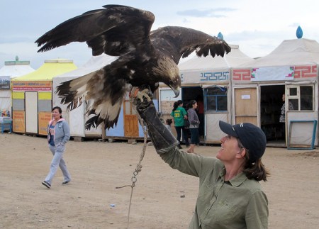 MONGOLIA 371 (KARAKORUM) EL AGUILA REAL, PUEDE LLEGAR MEDIR 1 M. DE LONGITUD DEL PICO A LA COLA