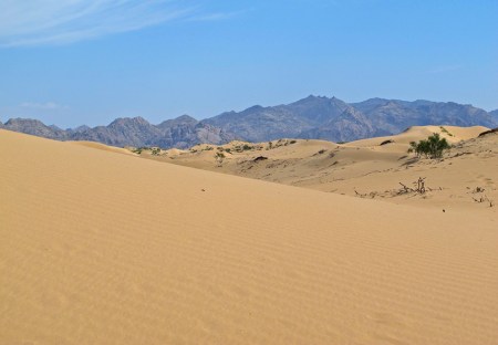 MONGOLIA 385 (LAS DUNAS ELSEN TASARKHAI) AL FONDO LAS MONTAÑAS DE KHOGNO KHAAN