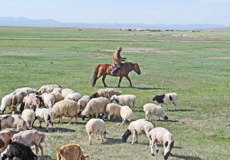 MONGOLIA 395 (EL GRAN VALLE DEL RIO TUUL) UN PASTOR EN LA ESTEPA CON SU BARA PARA LACEAR