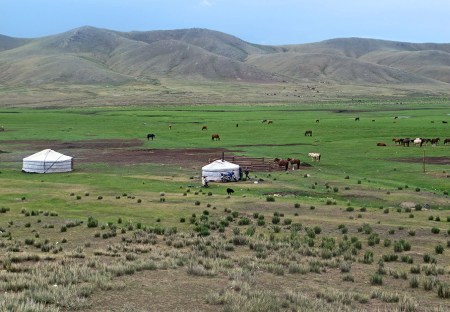 MONGOLIA 444 (HACIA EL MONASTERIO DE AMARBAYASGALANT) VEMOS YURTAS POR TODAS PARTES...