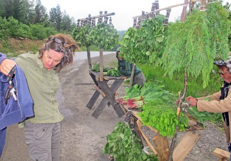 SIBERIA 2°, 107 (P0R EL OBLAST DE IRKUTST) EN LOS MONTES JAMAR DABAN, VENDEDORES DE PLANTAS MEDICINALES PARA USAR EN LAS TIPICAS SAUNAS SIBERIANAS