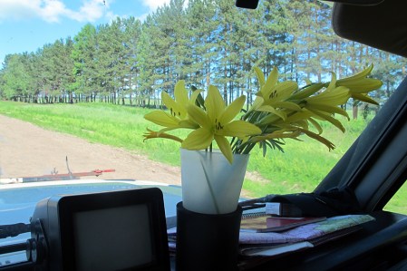 SIBERIA 2°, 125 (P0R EL KRAI DE KRASNOYARSK) EL COCHE LO TENEMOS MUY ADORNADO CON FLORES SALVAJES