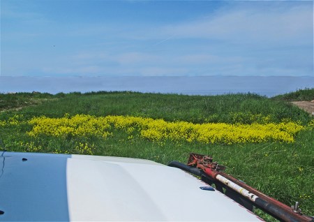 SIBERIA 2°, 41 (LAGO BAIKAL) ES UN LAGO DE ORIGEN TECTONICO