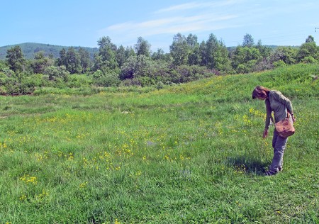 SIBERIA 2°, 45 (LAGO BAIKAL) EN ALGUNAS PARTES DE SUS RIVERAS LA PARTE ESTE ES MUY VERDE