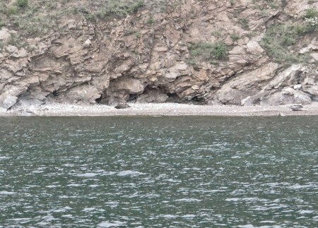 SIBERIA 2°, 67 (LAGO BAIKAL) EMBARCADOS (1 FOCA EN LA ORILLA) LA NERPA (PUSA SIBIRICA) ES UN MAMIFERO PINNIPEDO DE LA FAMILIA DE LAS FOCIDOS