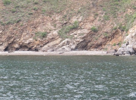 SIBERIA 2°, 68 (LAGO BAIKAL) EMBARCADOS ( 2 FOCAS EN LA ORILLA) LA NERPA ES ENDEMICA, EXISTEN MAS 60.000 EJEMPLARES, ES LA UNICA FOCA DE AGUA DULCE