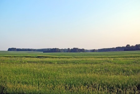 SIBERIA 2°, 185 (DE TOMKS A OMSK) ESTAMOS A UNOS 3.500 KM. DE MOSCU