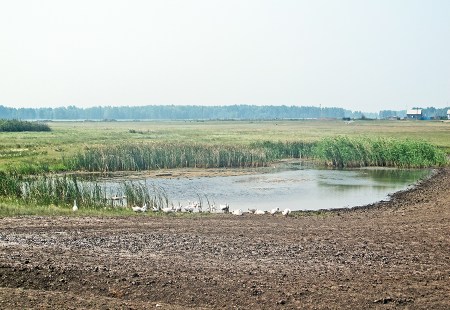 SIBERIA 2°, 187 (DE TOMKS A OMSK) VEMOS SOLO CASAS AISLADAS DE VEZ EN CUANDO