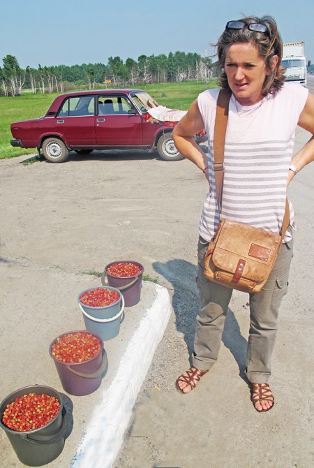 SIBERIA 2°, 188 (DE TOMKS A OMSK) EN LOS CRUCES DE CAMINOS LOS CAMPESINOS VENDEN PRODUCTOS DEL BOSQUE, ESTE CUBO DE FRESAS SALVAJES CUESTA UNOS 3€