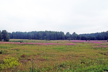 SIBERIA 2°, 198 (DE TOMKS A OMSK) EN GENERAL LOS PAISAJES SON MUY AGRADABLES