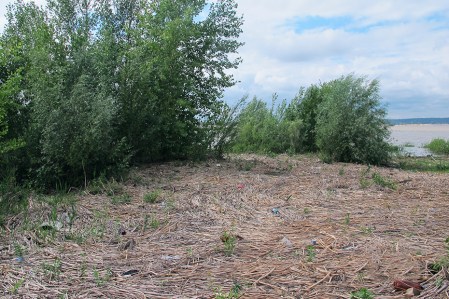 SIBERIA 2°, 254 (DE EKATERINBURG A KAZAN) EL RIO VOLGA EN SU CURSO MEDIO, LOS MARGENES ESTAN BASTANTE SUCIOS Y CON TODA CLASE DE RESIDUOS