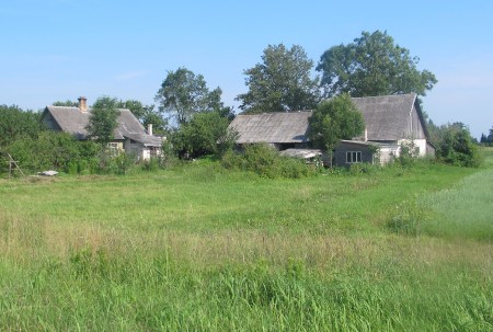 ESTONIA 10 (EN TRANSITO HACIA LITUANIA) PAISAJE RURAL 5