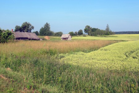 ESTONIA 5 (EN TRANSITO HACIA LITUANIA) PAISAJE RURAL 1ESTONIA 5 (EN TRANSITO HACIA LITUANIA) PAISAJE RURAL 1
