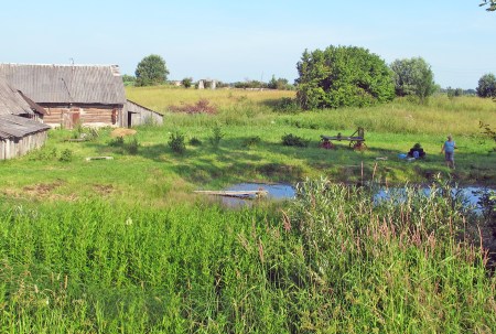ESTONIA 7 (EN TRANSITO HACIA LITUANIA) PAISAJE RURAL 2