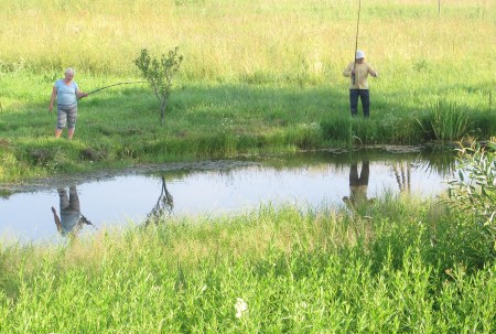 ESTONIA 8 (EN TRANSITO HACIA LITUANIA) PAISAJE RURAL 3