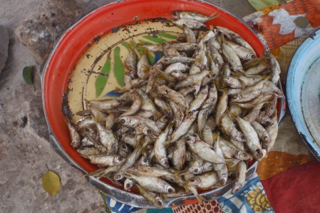 MALI 117 (MOPTI) IMAGENES 1