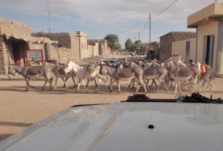 MALI 149 (TOMBUCTU) LA CIUDAD FUE FUNDADA POR LOS TUAREG EN AÑO 1.100. SITUADA A 7 KM DE DISTANCIA DEL RIO NIGER, TIENE UNOS SUS 36.000 HABITANTES