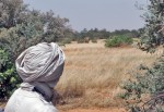 MALI 166 (LOS ELEFANTES DEL DESIERTO DE GURMA) MAYOR AMENAZA PARA ESTOS ANIMALES ES EL HOMBRE Y NO SU AMBIENTE RUDO, ES EXTRAÑO EL AÑO QUE NO MATAN DE DOS A TRES DE ESTOS PAQUIDERMOS TAN RARISIMOS