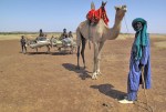 MALI 171 (TUAREG EN EL DESIERTO DE GURMA) LOS TUAREGS ES UN PUEBLO BEREBER NOMADA DEL DESIERTO DEL SAHARA