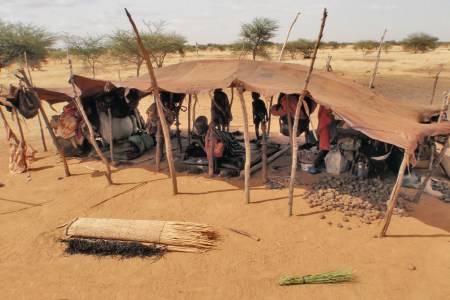 MALI 177 (TUAREG EN EL DESIERTO DE GURMA) CUANDO SE DESPLAZAN, CUBREN SUS NECESIDADES Y LAS DE LOS ANIMALES, VIVEN EN GRUPOS FAMILIARES