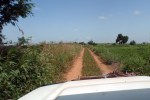 MALI 18 (CAMINO A LAS CATARATAS DE GOUINA) LA PISTA SE VE MUY BIEN