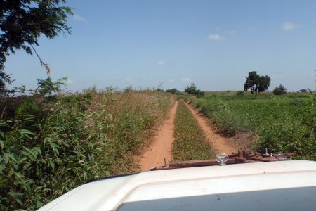 MALI 18 (CAMINO A LAS CATARATAS DE GOUINA) LA PISTA SE VE MUY BIEN