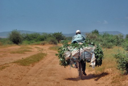 MALI 20 (CAMINO A LAS CATARATAS DE GOUINA) CONDUIR TAN CARGADO POR ESTAS PISTAS LLENAS DE ARENA ES UNA VERDADERA HEROICIDAD
