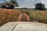 MALI 4 (CAMINO A LAS CATARATAS DE GOUINA) TENEMOS EL PARABRISAS LLENO DE INSECTOS