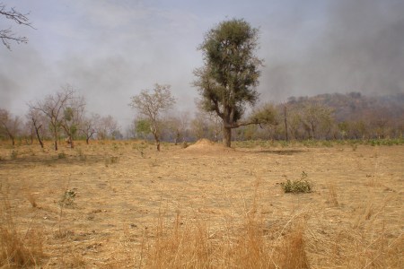 MALI 50 (DIRECCION BAMAKO) CUANDO ESTAS CONDUCIENDO POR PISTAS EN AFRICA HAY QUE TENER MUCHO CUIDADO CON EL FUEGO, PARA QUE NO CORTE LA RUTA Y TE QUEDES RODEADO, HAY QUE TENER SOBRE TODO EN CUENTA DE LA DIRECCION DEL VIENTO
