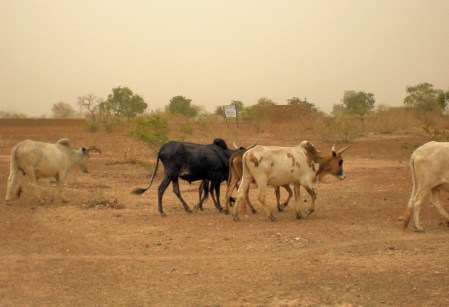 MALI 75 (DE BAMAKO EN RUTA A DJÉNNÉ)-LA MISION CATOLICA DE KANUYASO- DEJAMOS DETRAS LA MISION IMPRESIONADOS POR LA GRAN LABOR REALIZADA POR ESTAS MONJAS, CON TAN POCOS RECURSOS