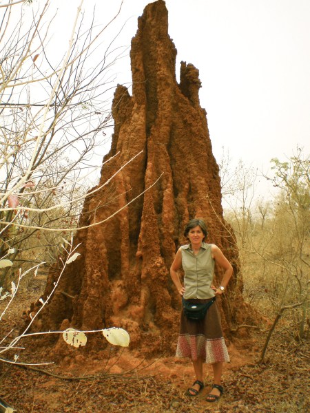 MALI 78 (DE BAMAKO EN RUTA A DJÉNNÉ) UN BONITO TERMITERO
