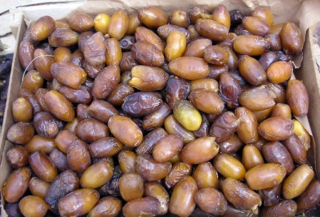 MARRUECOS 30 (AGDZ) SEGUN LOS VENDEDORES LOCALES SON LOS MEJORES DATILES DEL MUNDO