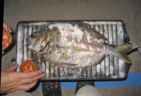 MARRUECOS 36 (EN LA REGION DE SIDI-IFNI) ... NO SIN HABER CENADO ESTE MAGNIFICO SARGO