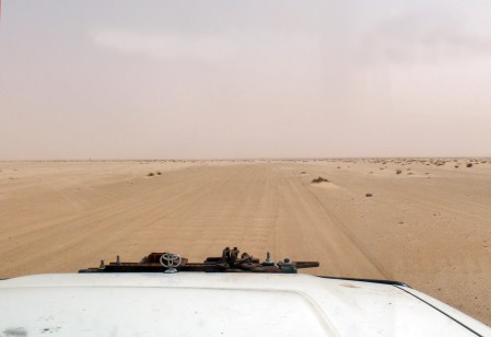 MAURITANIA 12 (BANC D’ARGUIN) FUE DECLARADO PATRIMONIO DE LA HUMANIDAD POR LA UNESCO EN 1989