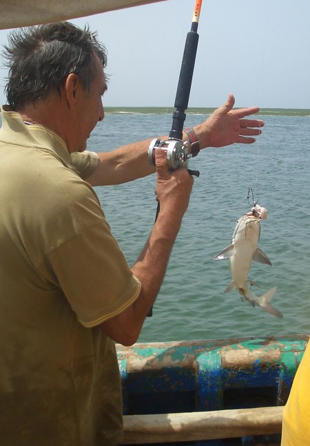 MAURITANIA 23 (BANC D’ARGUIN-PASEO EN BARCA A VELA) 4