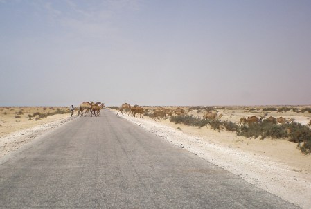 MAURITANIA 60 (DE NOUAKCHOT A ROSSO) 5