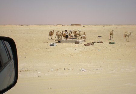 MAURITANIA 61 (DE NOUAKCHOT A ROSSO) UN POZO, AQUI ES UN LUJO
