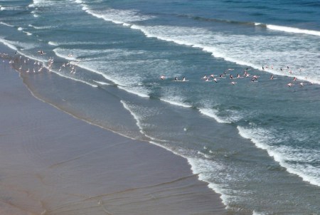 SAHARA OCCIDENTAL 20 (POR LA COSTA HASTA MAURITANIA)...Y SE VEN MUCHAS BANDADAS DE FLAMENCOS ROSA