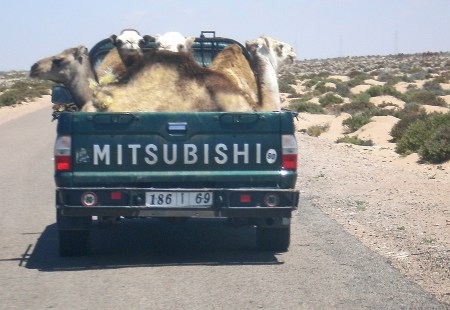 SAHARA OCCIDENTAL 25 (LA FRONTERA) UN COCHE BIEN UTILIZADO, CUATRO CAMELLOS