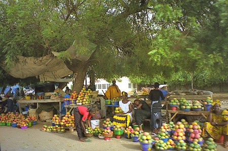 SENEGAL 22 (DE SAINT-LOUIS A DAKAR) MERCADO DE MANGOS TODO LO LARGO DE LA CARRETERA