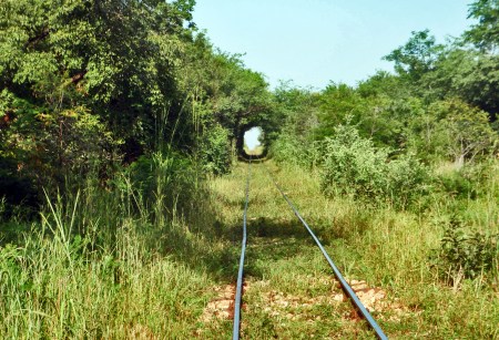 SENEGAL 48 ( AL ESTE RUMBO KAOLACK) TUNEL DE ARBUSTOS HECHO POR EL TREN QUE VA DE DAKAR A BAMAKO EN MALI